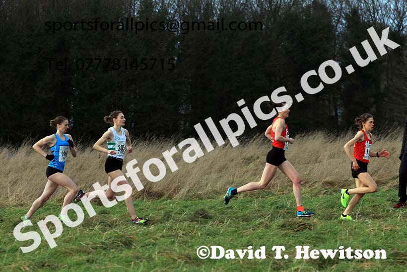 Senior Womens 2024 Northern Cross Country Champs., Sedgefield. Photo: David T. Hewitson/Sports for All Pics